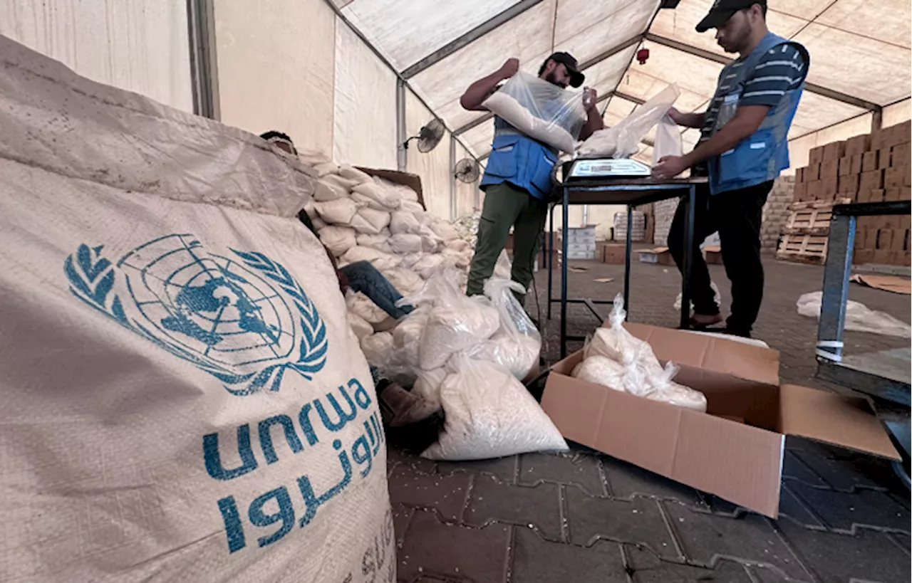 Condemnations mount over Israeli proposal to label UNRWA aid agency a terrorist group | Tia Goldenberg