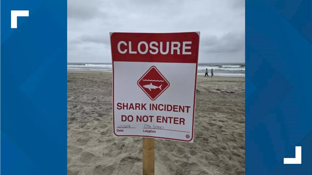 Del Mar closes beaches for swimming and surfing after shark encounter