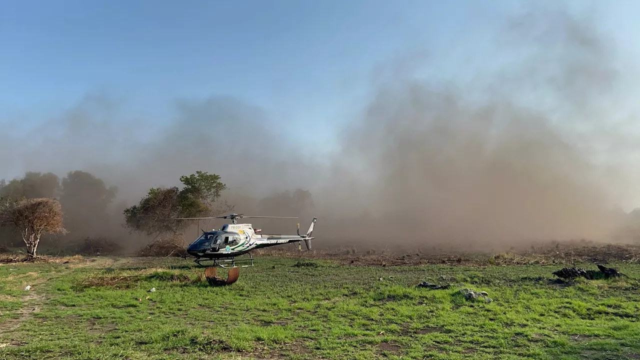 Incêndios no Pantanal aumentam quase 900% e região totaliza maior índice desde 2020, diz WWF-Brasil