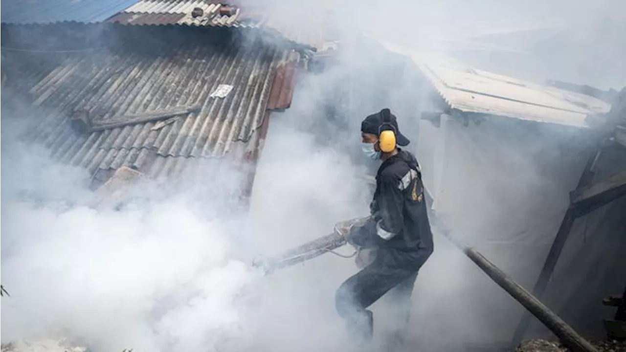 Ketahuan 'Ternak' Nyamuk DBD, Warga Jaktim Bisa Didenda Rp50 Juta