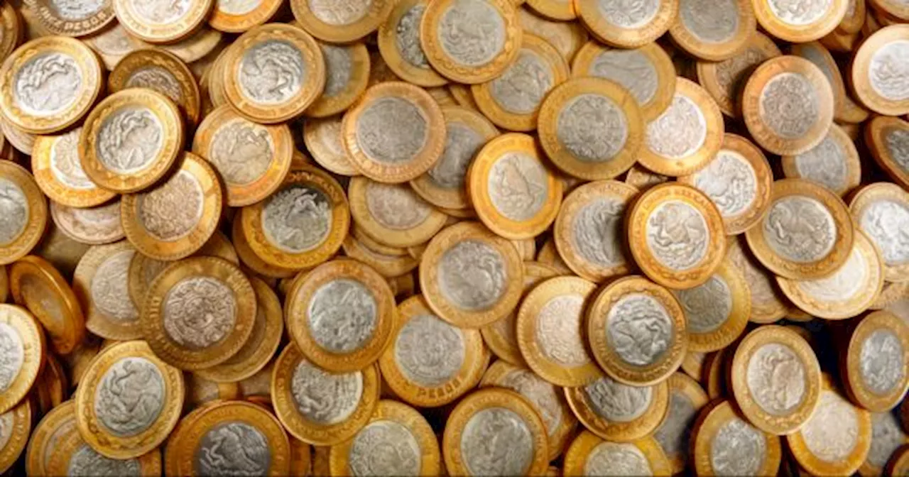 CHAU MONEDAS: estas son todas las que saldrán de circulación en 2024