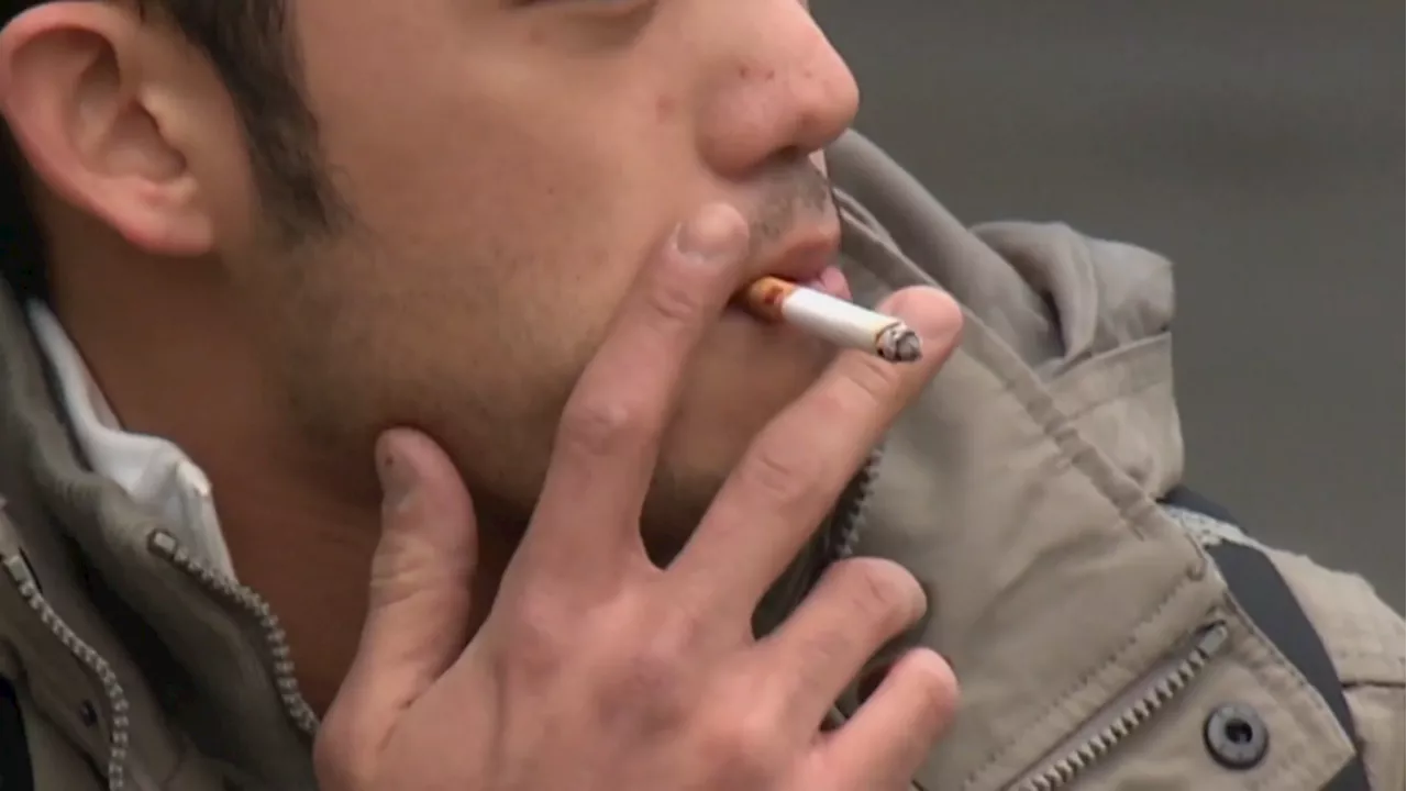 N.L. becomes latest province to eye stricter tobacco regulations