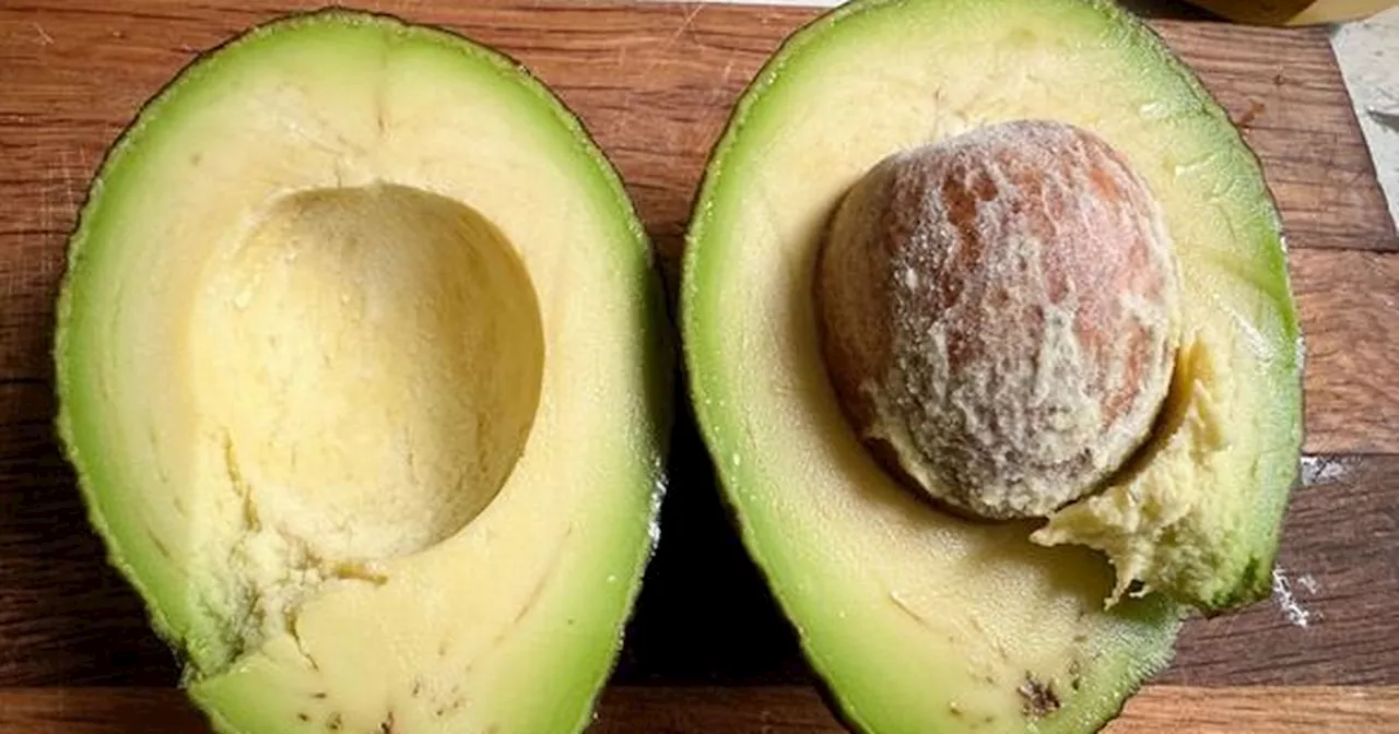 Food expert's quick and easy avocado ripening hack softens fruit 'in 10 minutes'