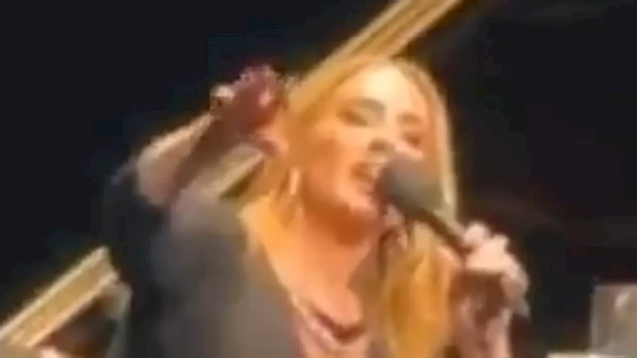 Adele furiously shuts down homophobic heckler in the audience of her Las Vegas residency as she...