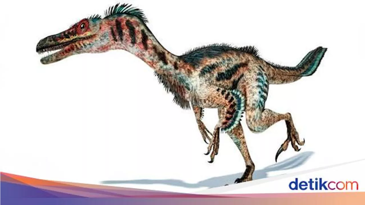 Mencapai 48 km/jam, Ini Dinosaurus yang Tercepat Menurut Pakar