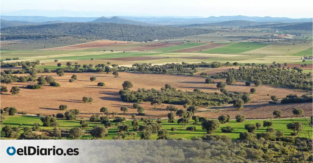 Las tierras raras llegan al Defensor del Pueblo: denuncian presiones de un “grupo de interés” a alcaldes y políticos