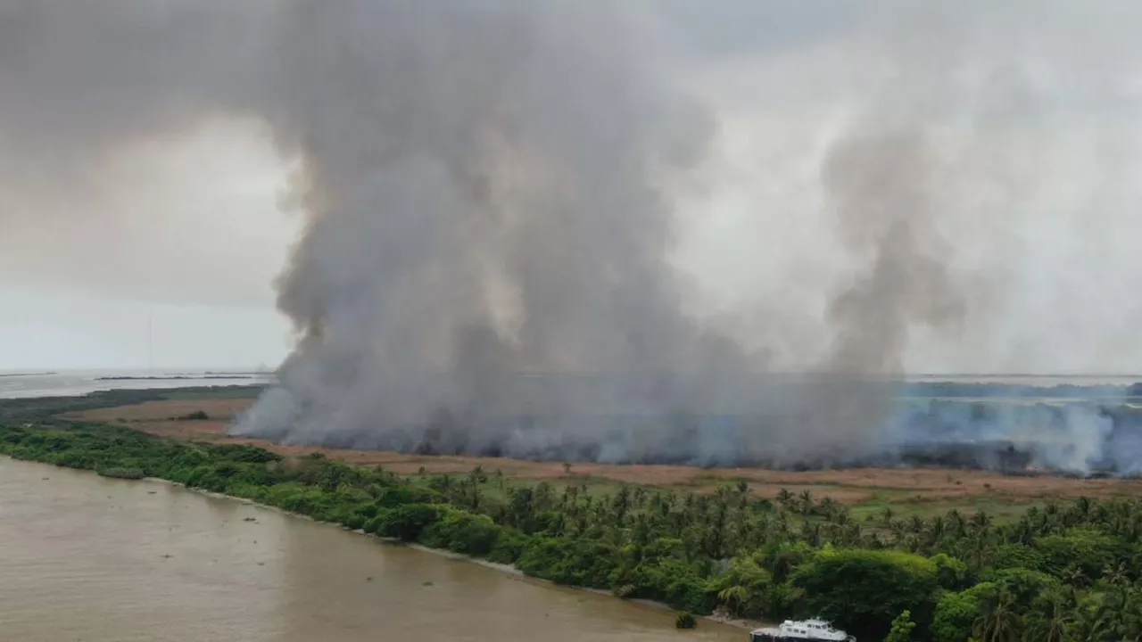 Reportan nuevo incendio en el Parque Isla Salamanca: así se observan las quemas desde Barranquilla