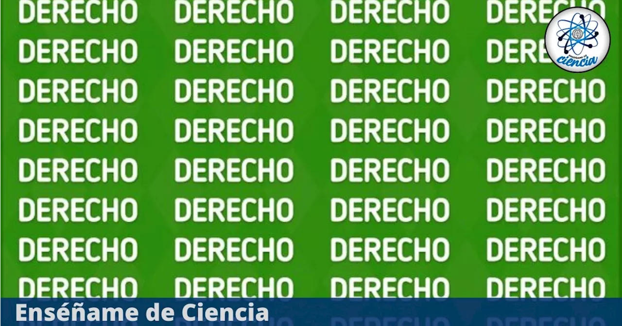 Acertijo visual FÁCIL: ¿Serás capaz de encontrar la palabra “DESECHO” entre las palabras “DERECHO”?