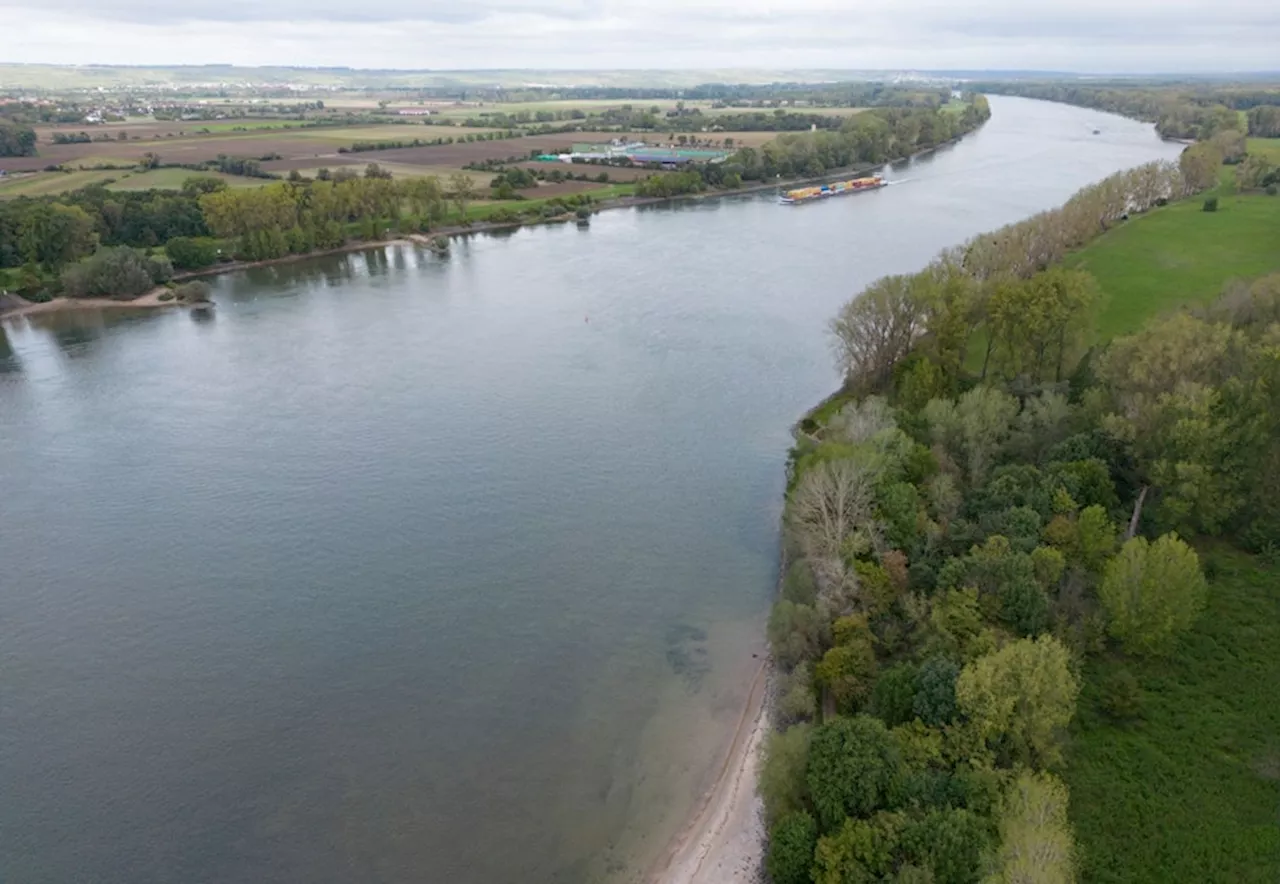 Hochwasser auf dem Rhein - «Keine kritischen Werte»