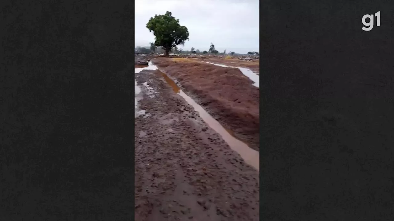 'Não temos como voltar': o impacto das enchentes sobre os quilombos do RS