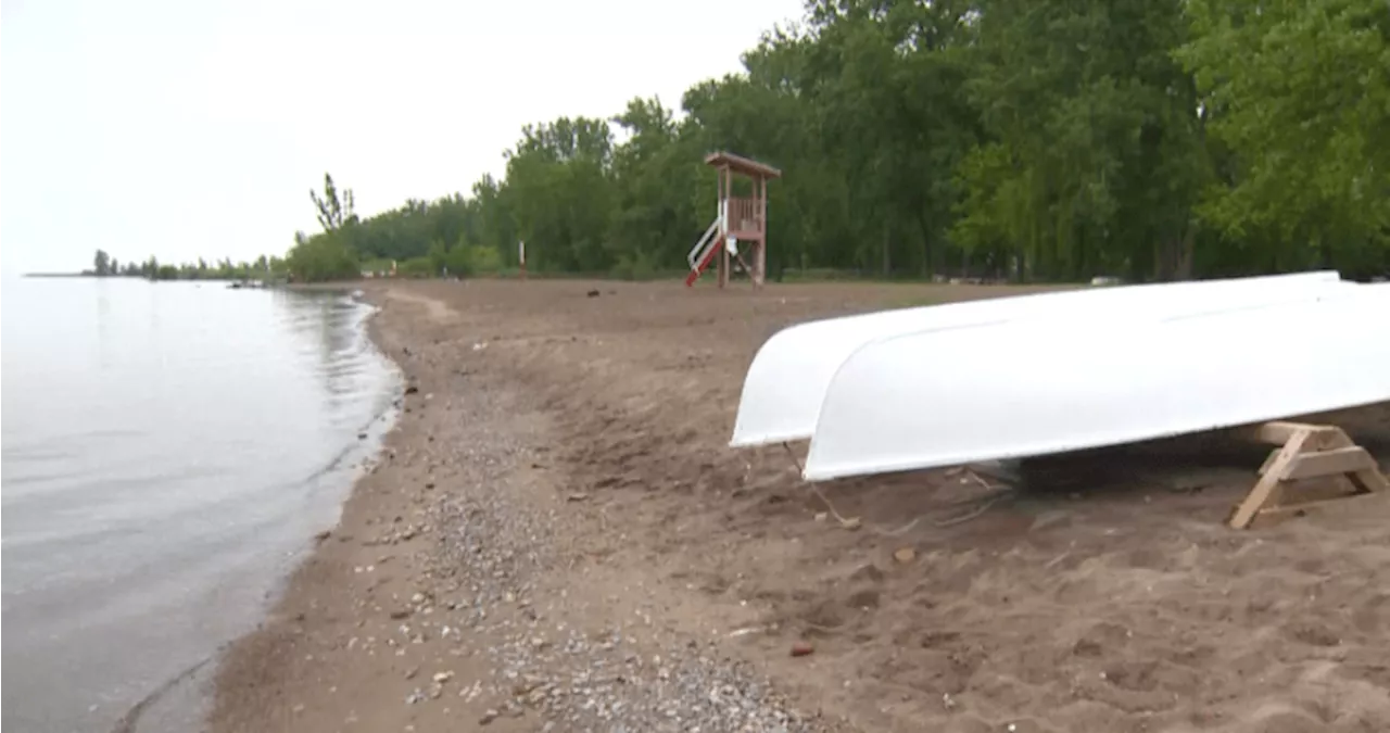 City investigating early-morning rave heard along Toronto waterfront