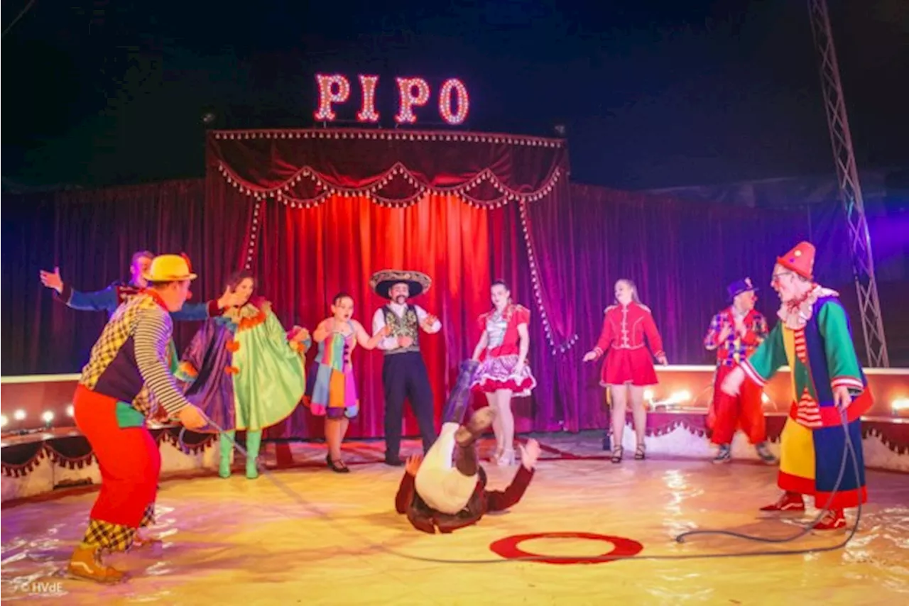 Circus Pipo komt naar Schelle