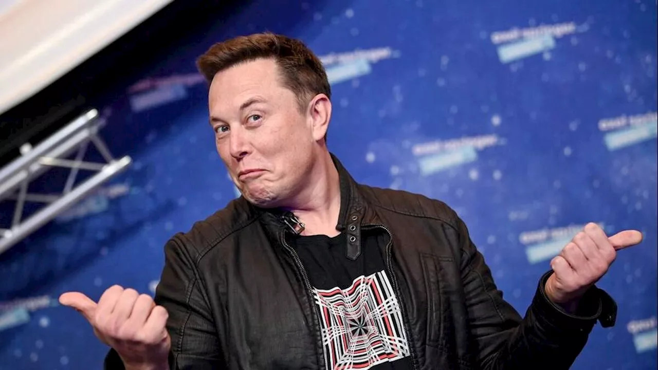 Government: Starlink and Elon Musk Are Not Golden Boys