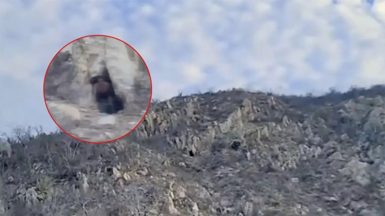 Captan en VIDEO a &quot;misterioso ser&quot; al emerger de una cueva en Cabo San Lucas