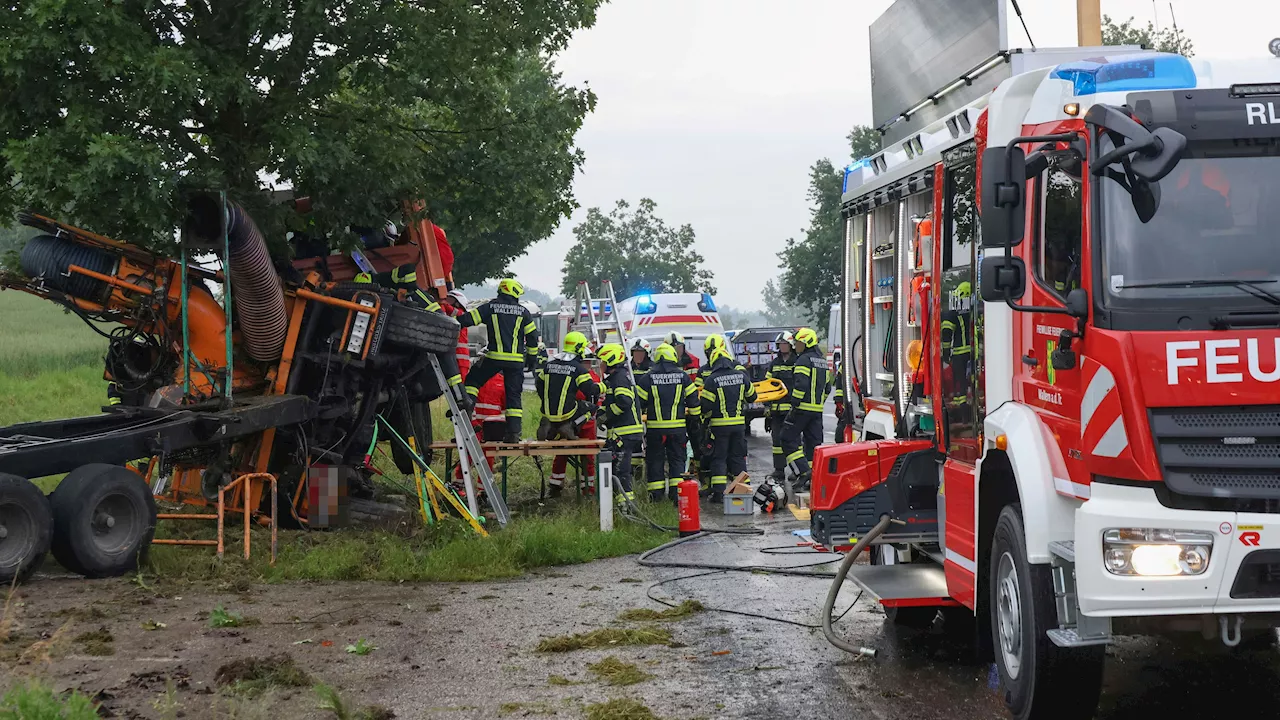 Lastwagen wickelt sich um Baum, Fahrer eingeklemmt