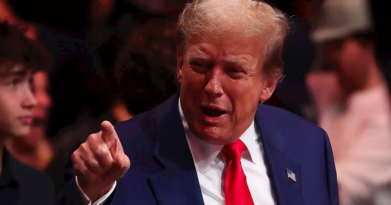 Trump Joins TikTok And Calls It An 'Honor' — After Previously Trying To Ban The App