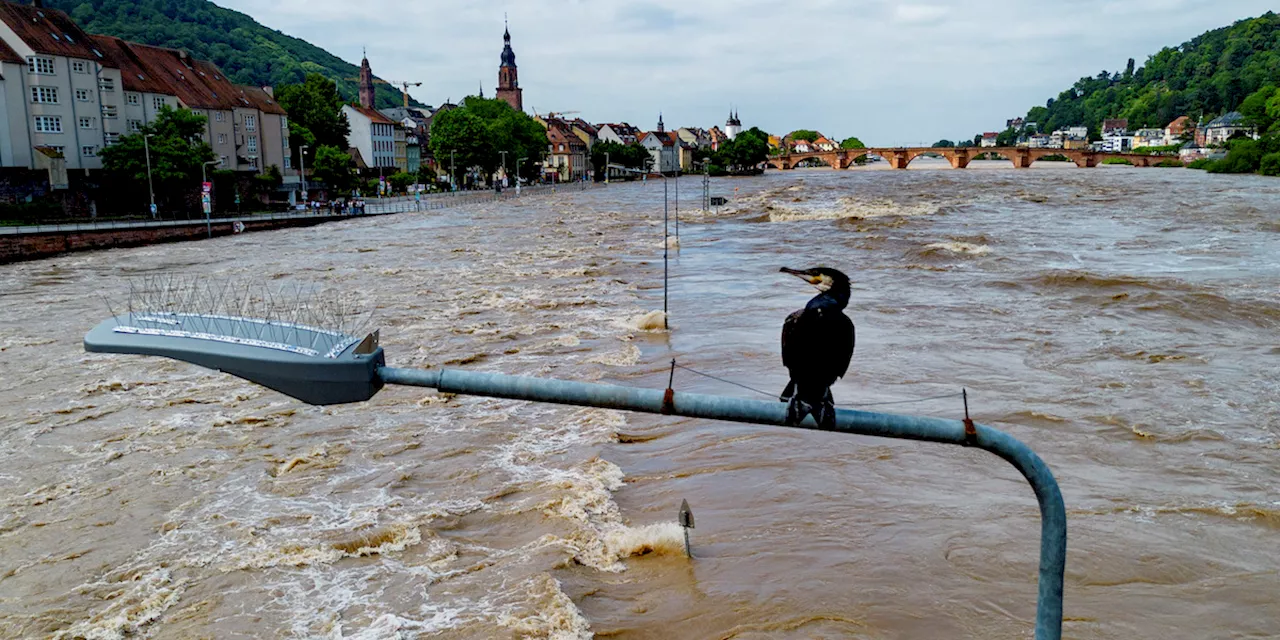 Quattro persone sono morte per le alluvioni in Germania