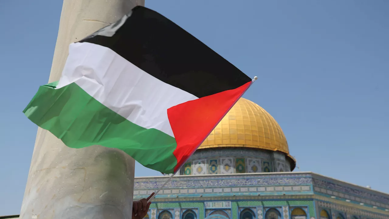 Relatores de la ONU piden a todo el mundo reconocer a Palestina