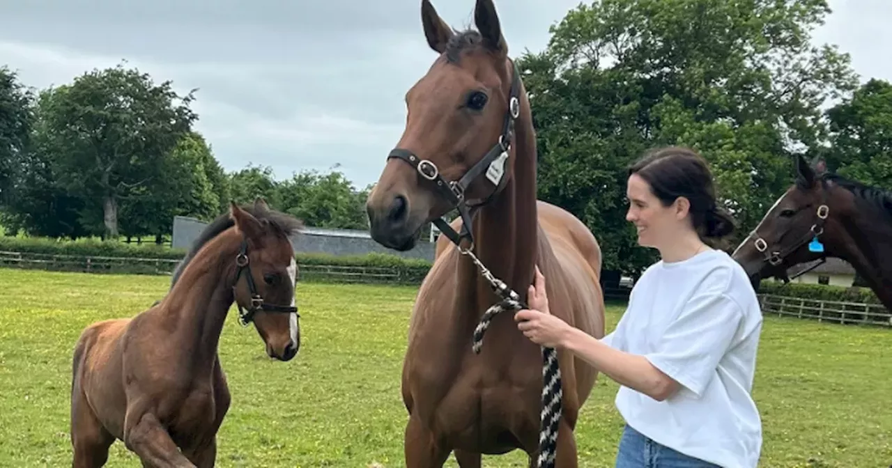 Rachael Blackmore reunites with Honeysuckle and meets mare's daughter