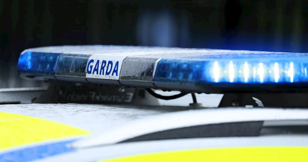 23 arrests for offences including burglary and theft as part of Garda operation in North Dublin