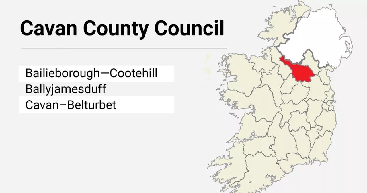 Local Elections: Cavan County Council