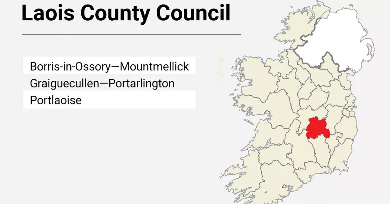 Local Elections: Laois County Council