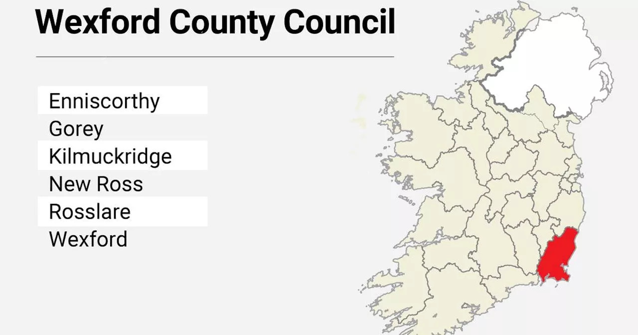 Local Elections: Wexford County Council