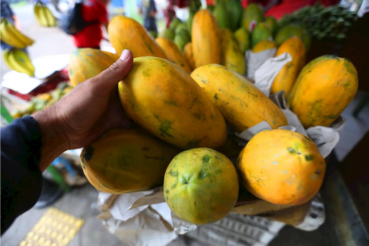 5 Manfaat Makan Pepaya Setiap Hari, Cegah Serangan Berbagai Penyakit Ini