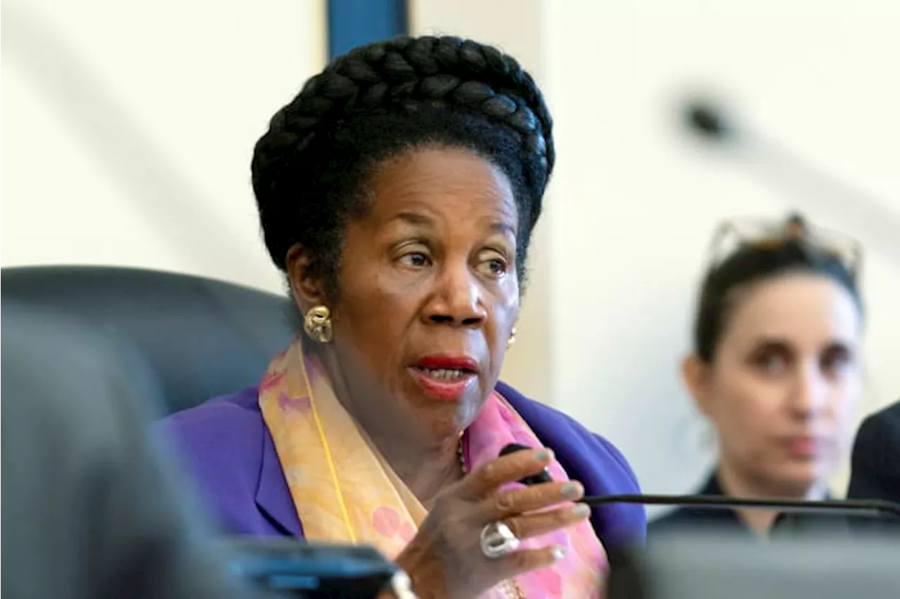 Rep. Sheila Jackson Lee, a Texas Democrat, says she has pancreatic cancer