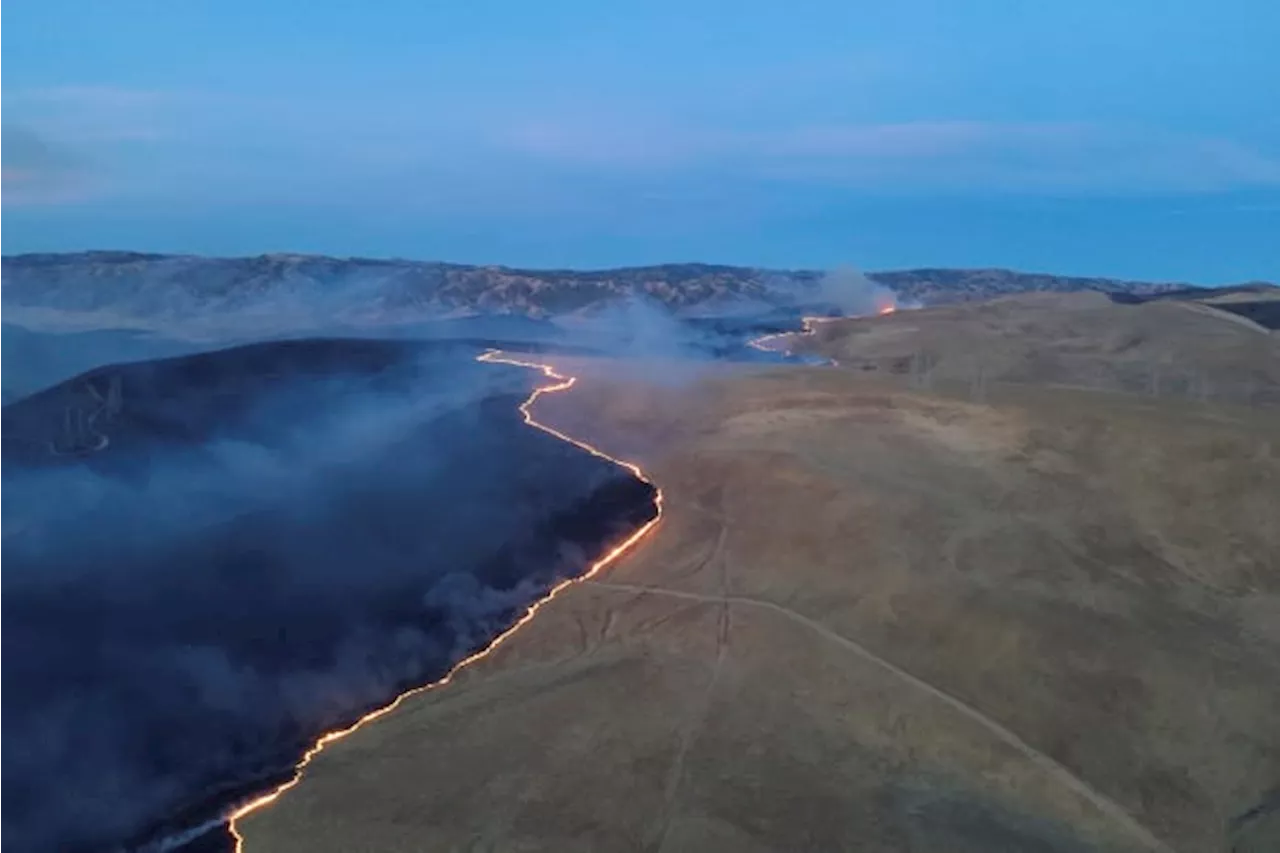 California firefighters make significant progress against wildfire east of San Francisco Bay