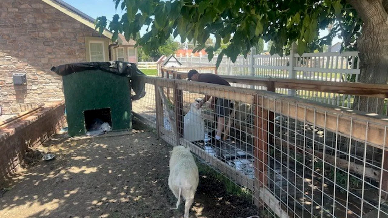 Corral Fire: Tracy evacuation order downgraded to 'warning' as anxious residents check homes