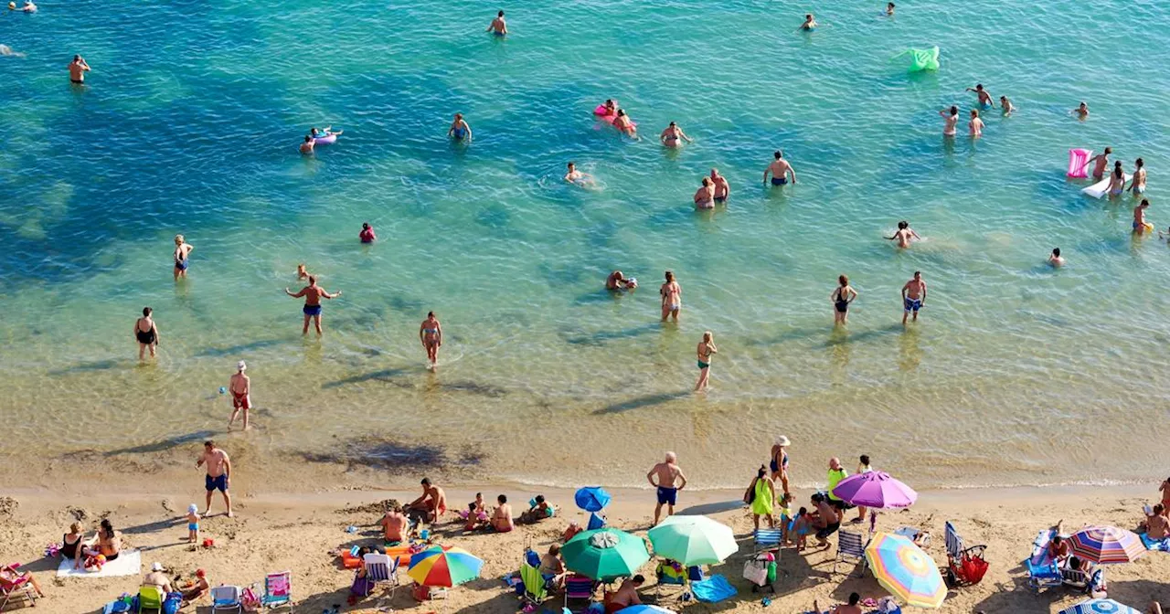 Espagne : contre le fléau des vendeurs à la sauvette, cette cité balnéaire veut sanctionner les touristes