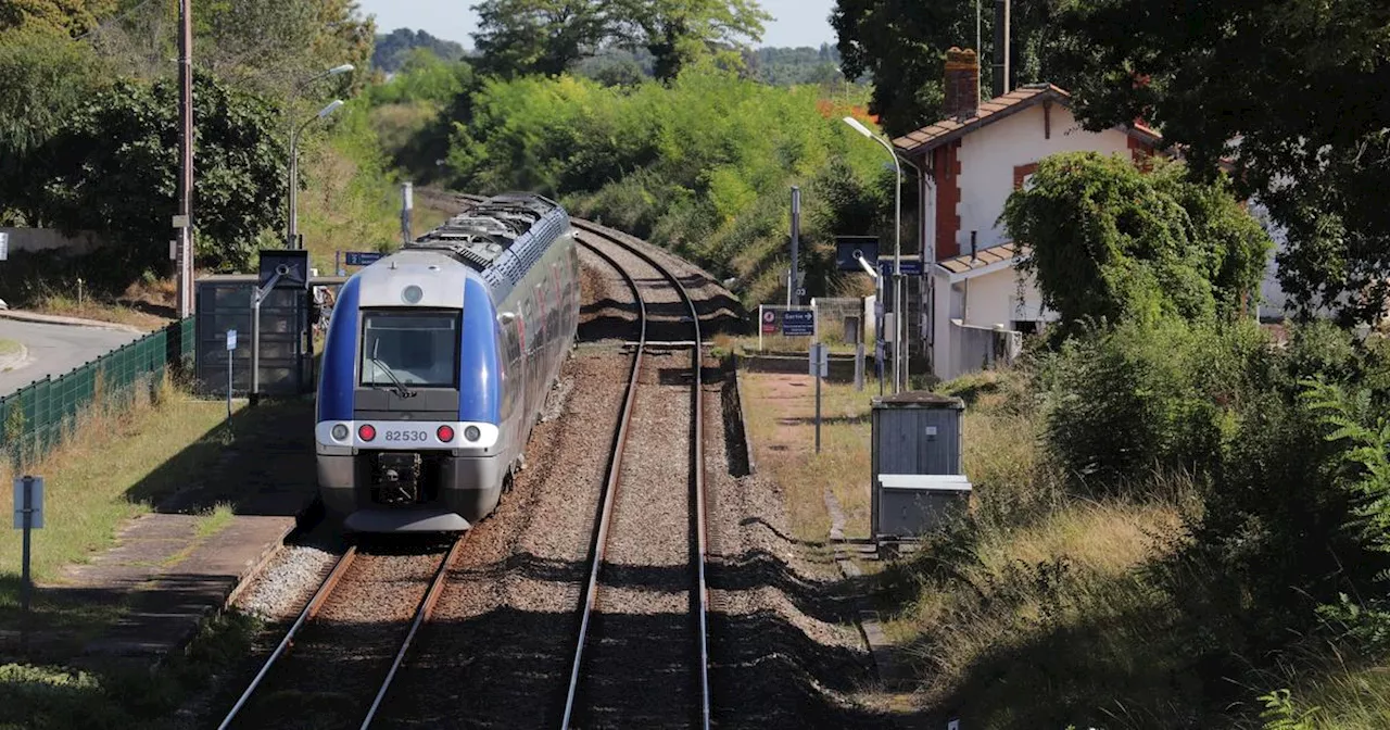 Loire-Atlantique : une femme coincée sous un train après une collision, le trafic perturbé