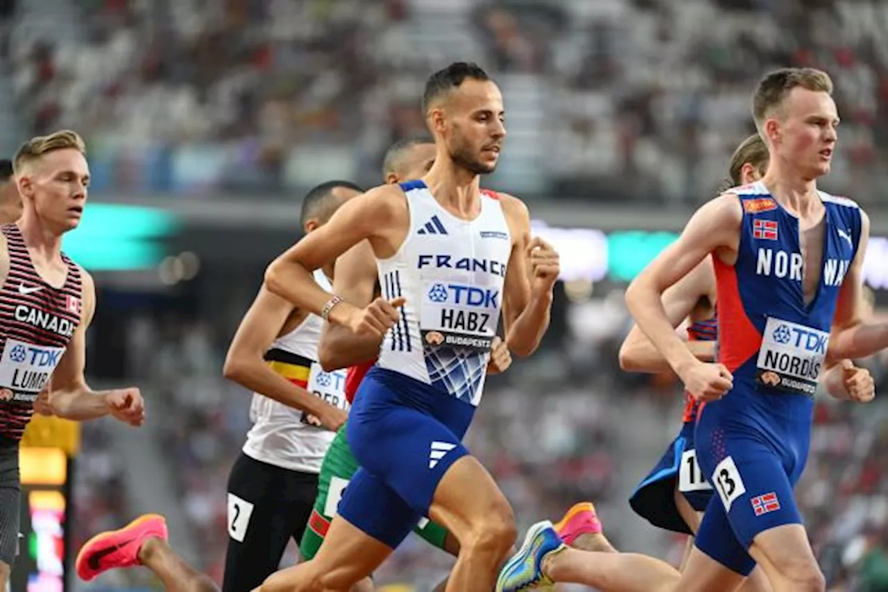 Azeddine Habz et Simon Bédard vont finalement être qualifiés pour les Championnats d'Europe