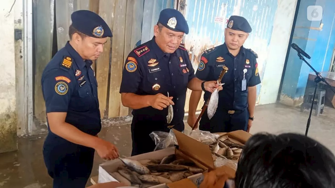 Empat Ton Ikan dari Malaysia Diselundupkan Lewat Batam