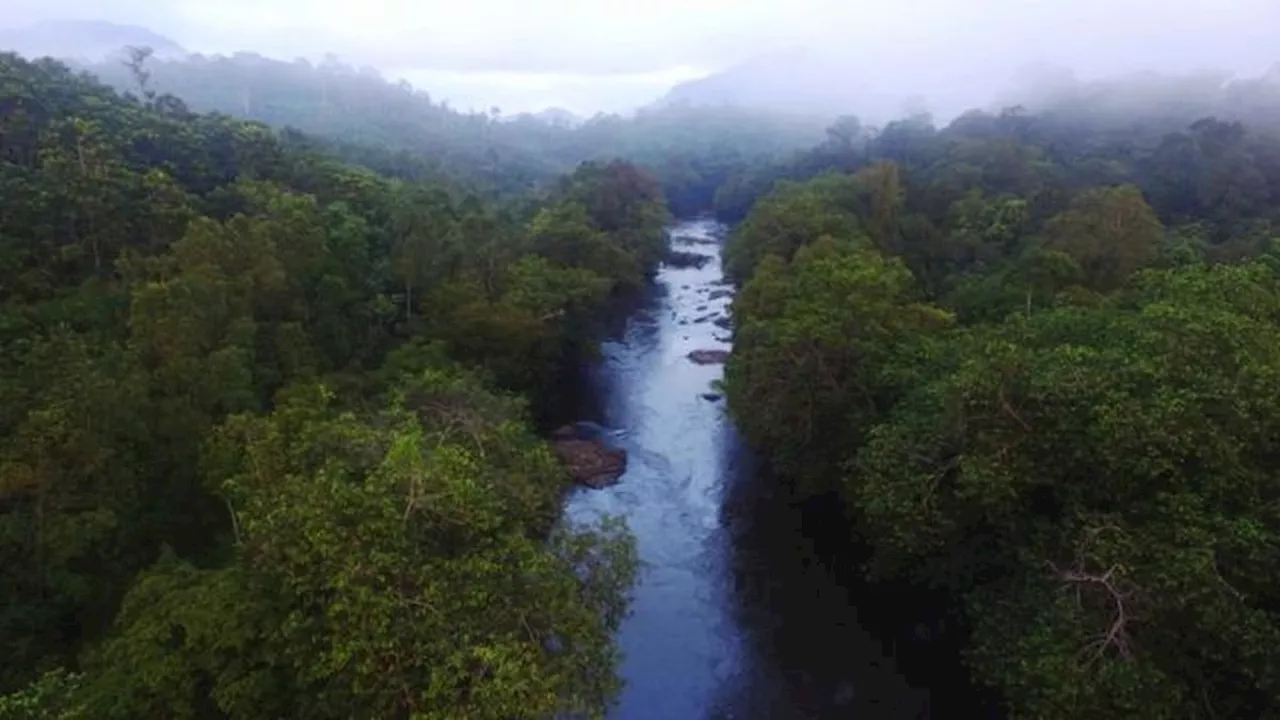 Hutan Adat di Indonesia dan Eksistensinya dalam Konteks Hukum, Masyarakat Sebagai Pelaku Utama