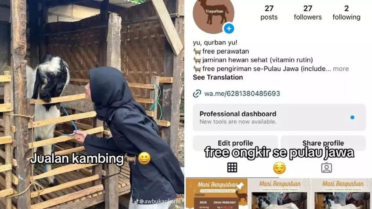 Top 3 Berita Hari Ini: Cerita Wanita Lulusan Jurusan Kedokteran Lebih Memilih Jualan Kambing