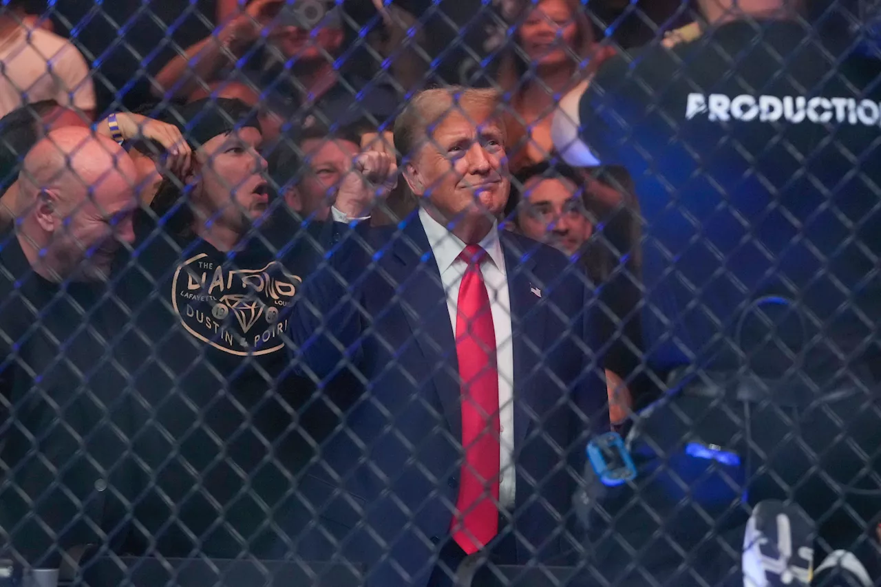 Trump breaks Tiktok ban, debuts on app with UFC cameo