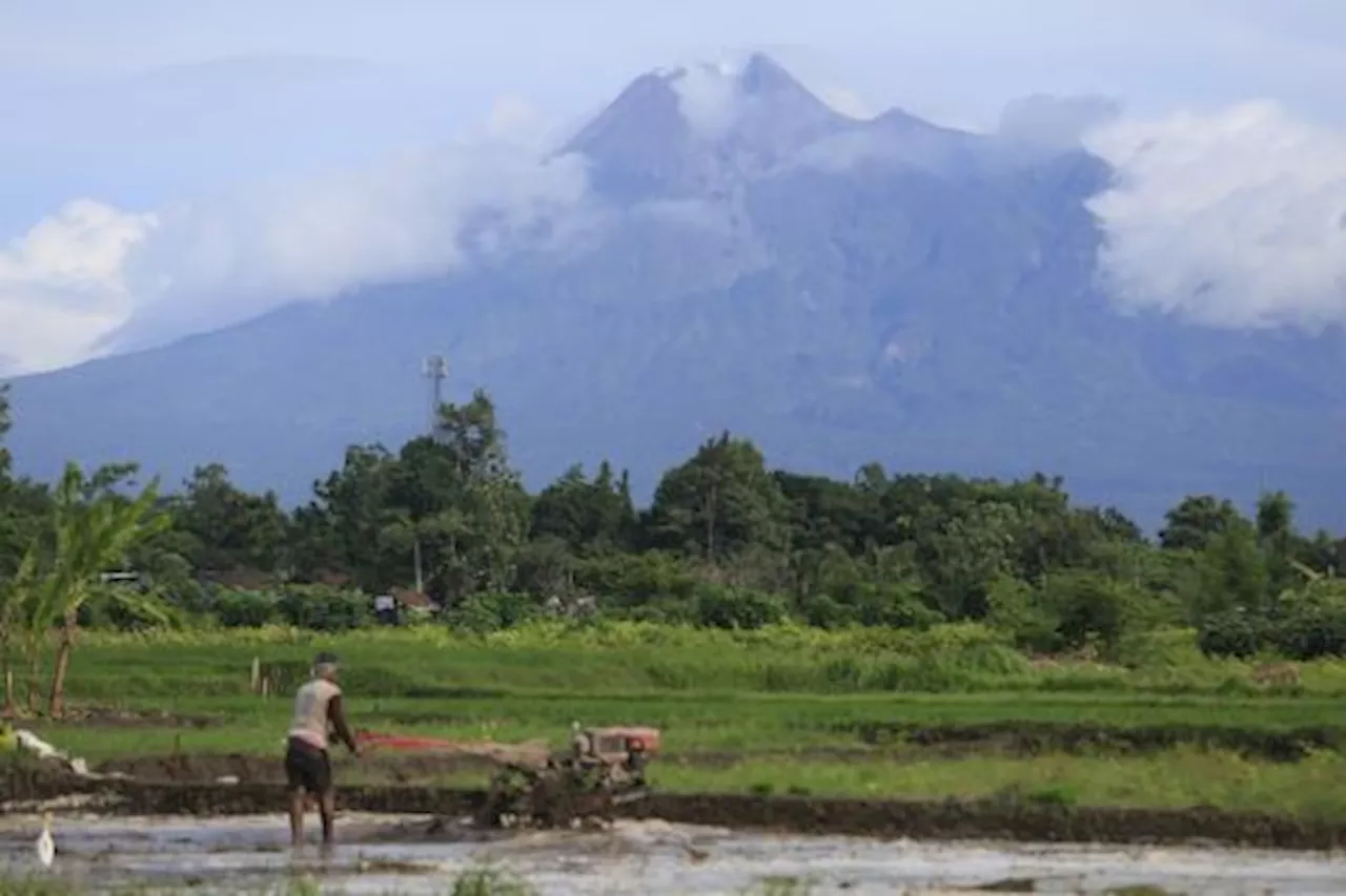 Hampir Setiap Setengah Jam Terjadi Guguran Lava di Gunung Merapi