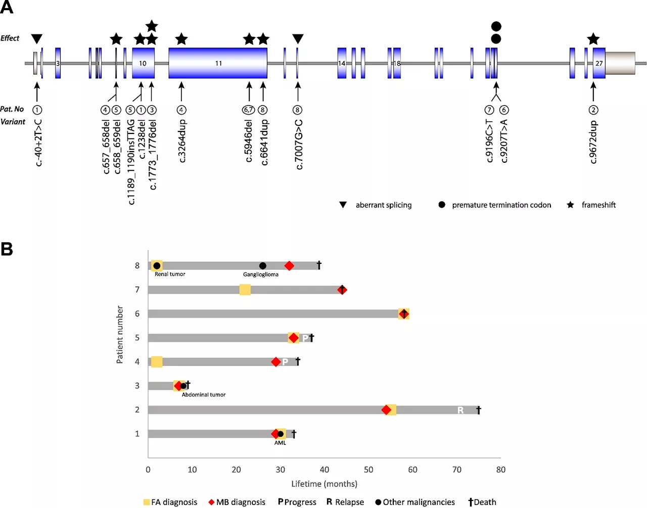 Fanconi anemia: Researchers say brain tumors are fatal when there is a double gene mutation