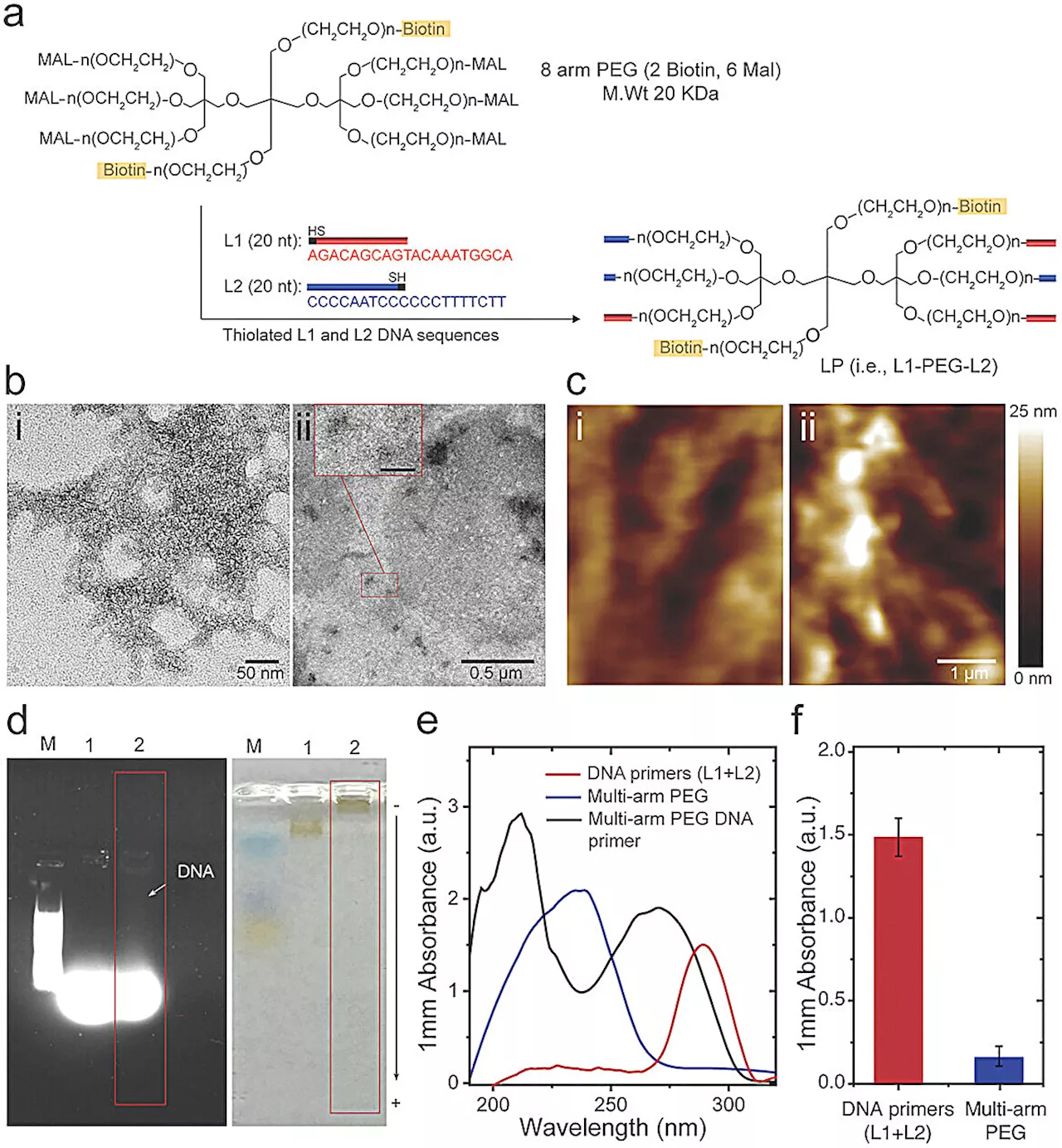 New method offers faster, more accurate pathogen identification, even in complex DNA sequences