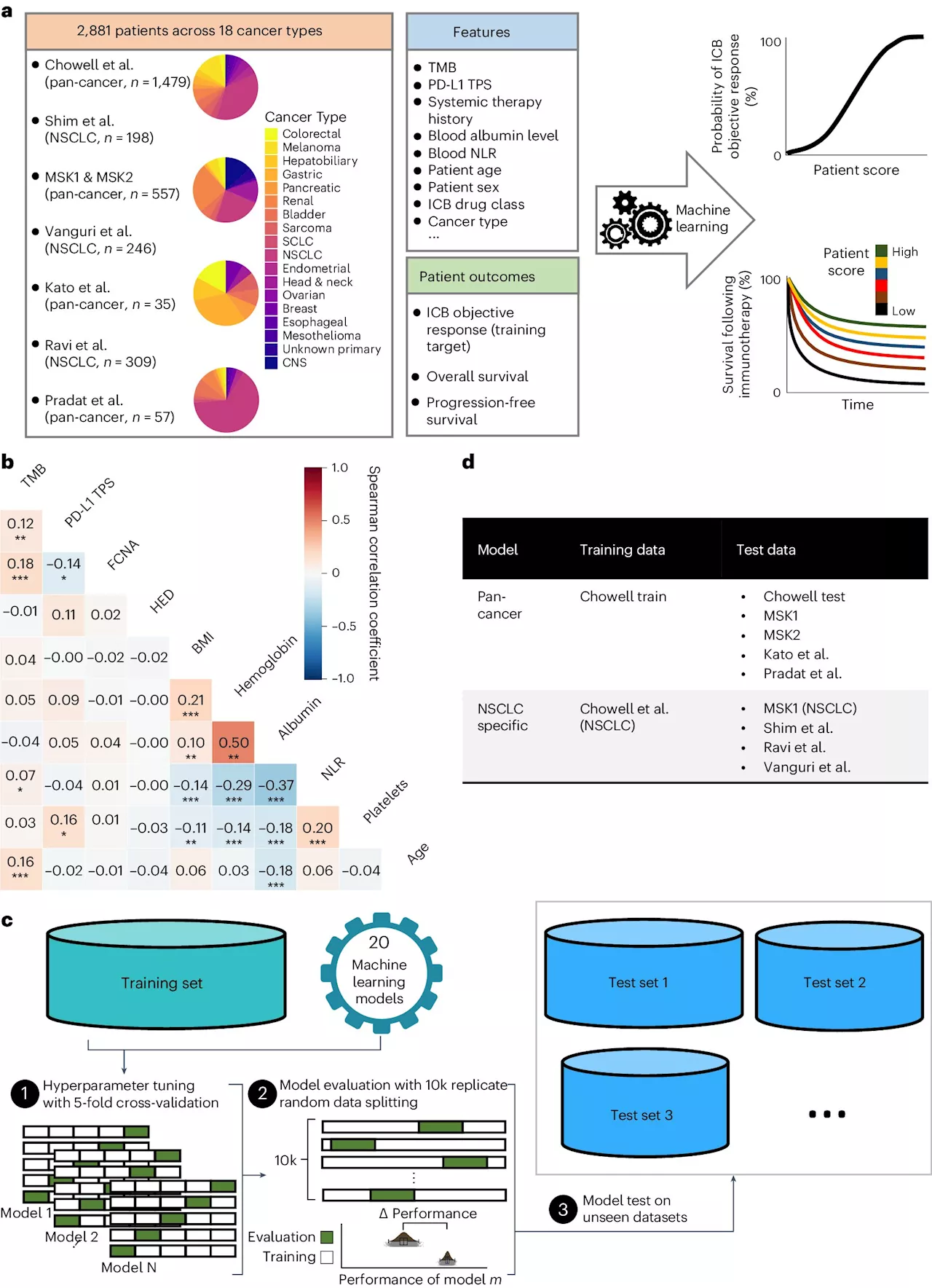Scientists develop AI tool to predict how cancer patients will respond to immunotherapy