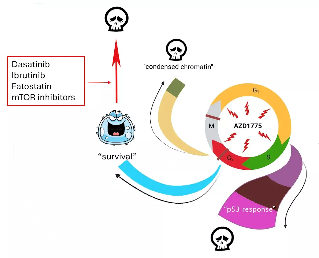 Targeting leukemia's survival route: A novel approach to overcoming leukemia recurrence