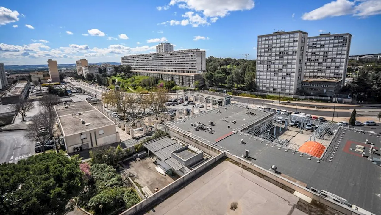 Une nouvelle phase de travaux démarre ce lundi 3 juin dans le quartier Pissevin à Nîmes : le rêve d’une autre