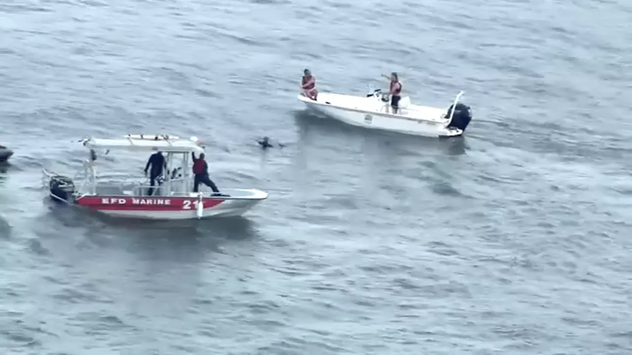 Search for missing swimmer in Evanston was a ‘false alarm:' fire officials