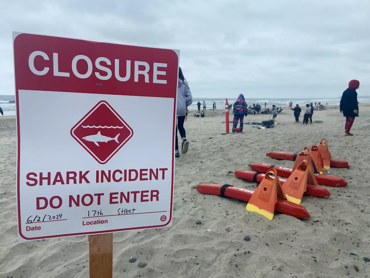 Southern California beach closed after shark bites man during group swim