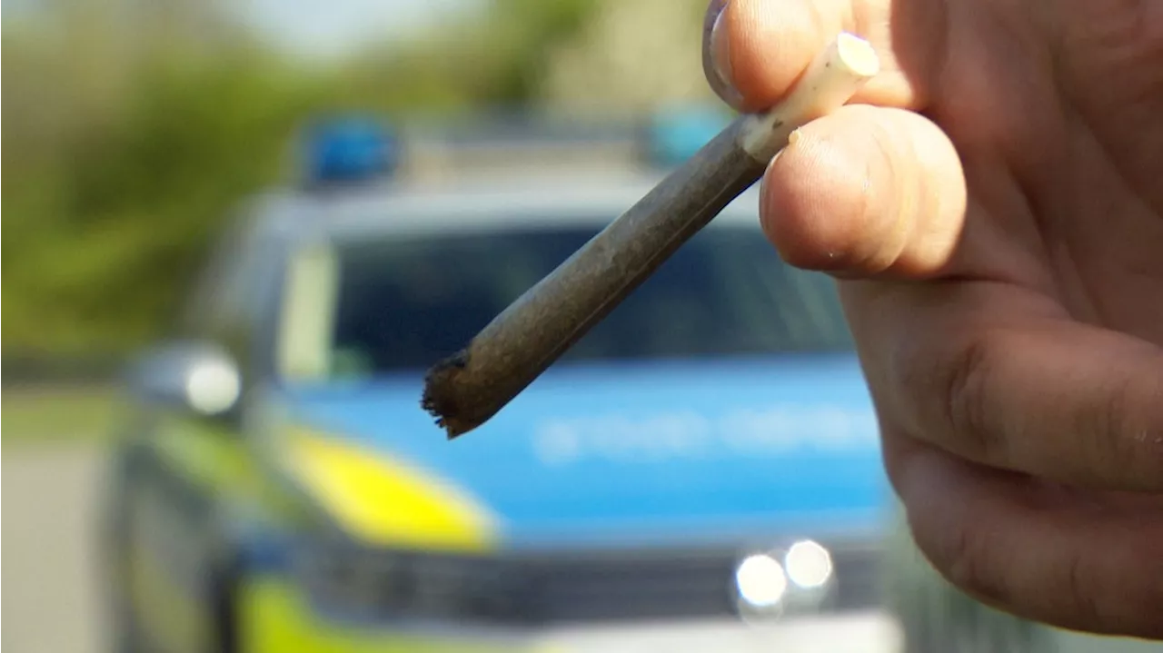 Cannabis-Legalisierung: Streit um Grenzwert im Straßenverkehr