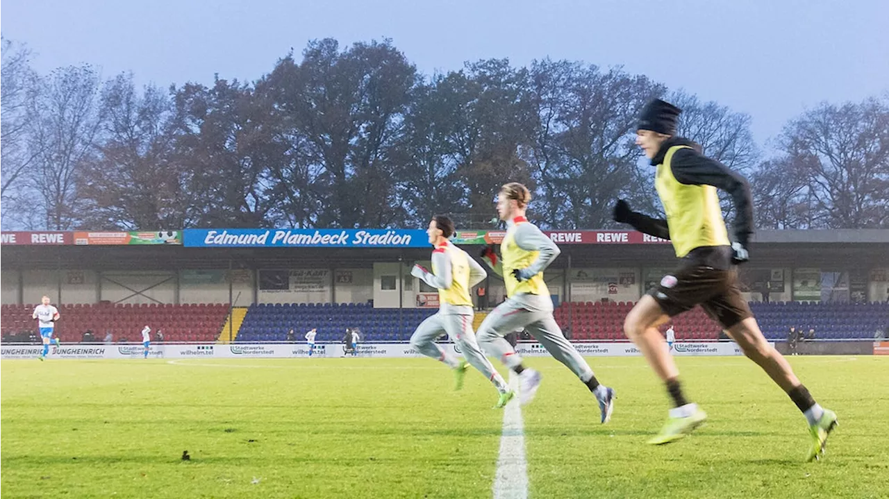 Fußball-EM: Wie aus einer 'Kraterlandschaft' ein Top-Rasen wird