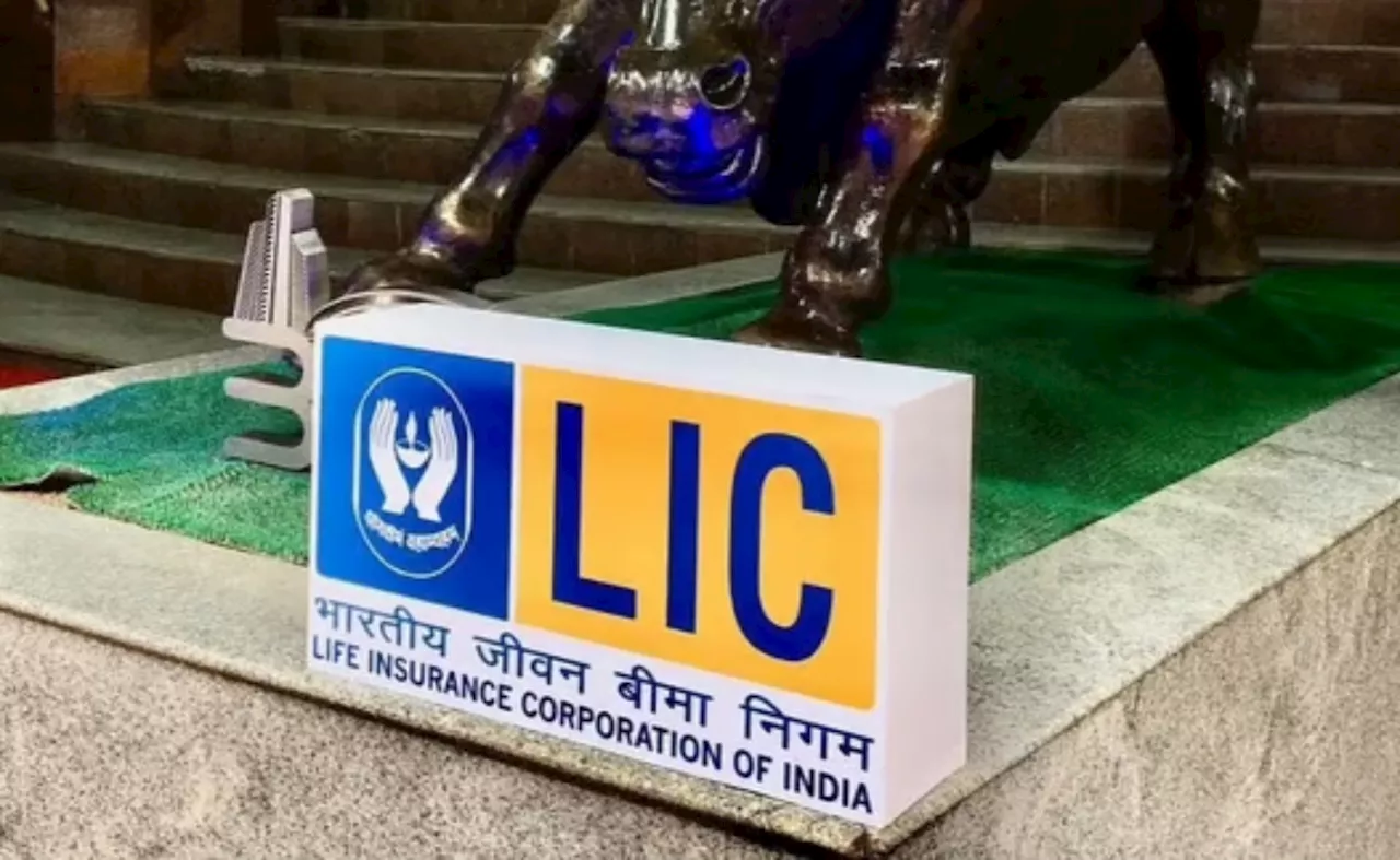 अदाणी ग्रुप के शेयरों में तेजी से LIC मालामाल! सालभर में 63% बढ़ा पोर्टफोलियो