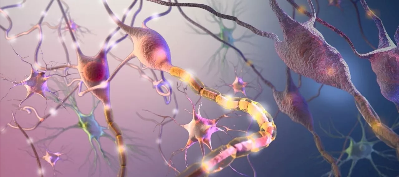 Neurological diseases: Advancements in live-cell analysis